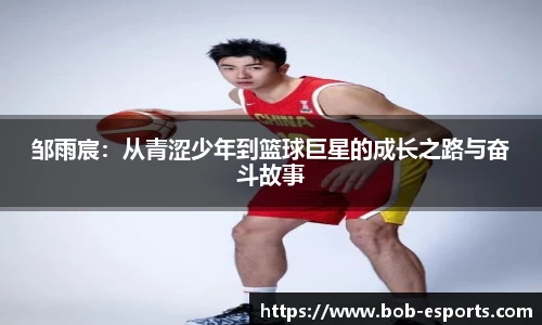 BOB电竞官网